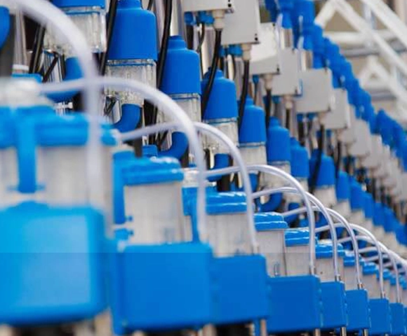 Dairymaster milking parlour
